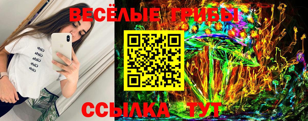 Галлюциногенные грибы Cubensis  Вход с VPN  Тобольск  Галлюциногенные грибы Magic Shrooms 